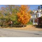 Hopedale: Beautiful Fall Foliage