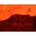 Silver City: Geronimo Mountain, Silver City, NM