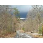 Inwood: View of Sleepy Creek Mountain with storm approaching (taken in Glenwood Forest - March '09)
