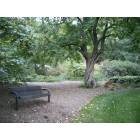 St. Paul: Nice spot to relax on the University of Minnesota St. Paul campus