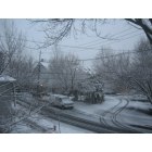 Highland Park: Snowy February: View from my hallway window at 9 S 9th Ave.