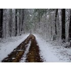 Moody: Snow on the 1st day of April Moody Alabama (Blue Hole )