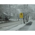 Monticello: College Street Snow Storm 2009