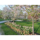Torrington: Downtown Torrington's Coe Park in Springtime