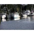 Shrimp Boats, McCleelanville, Harbor, SC
