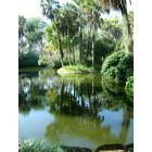 Cypress Gardens: Winter Haven, Florida - BOK Tower Gardens