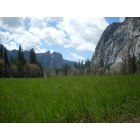 Yosemite: A meadow in Yosemite, National Park