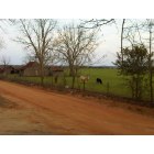 Ariton: a house built in the late 1800's