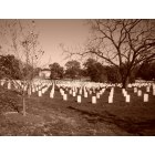 Arlington: : Arlington Cemetery