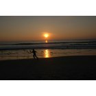 Carlsbad: Chasing Seagulls at Sunset