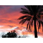 South Tucson: Sunset