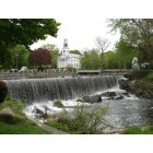 Milford: : Duck Pond behind City Hall in Milford, CT