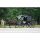 Ossineke: Amish culture is often evident in and around Ossineke