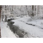 Madison: Winter at Memorial Park