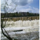 Youngstown: Heron flying by the Falls