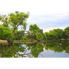 Brushy Creek: The beautiful Brushy Creek Duck Pond