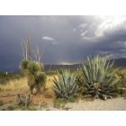 Alamogordo: beautiful country