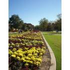 Norman: Award Winning Flower beds - University of Oklahoma Campus