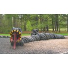 Ridgely: Tire Dragon, Tuckahoe Park
