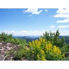 Elk River: Breathtaking View
