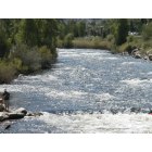 Steamboat Springs: : The Yampa River from the 13th Street Bridge