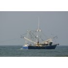 Sneads Ferry: Britany's Pride at work