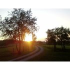 Flaherty: this is a picture that was taken by me in my drive way when the sun was going down.. i though it was very pretty