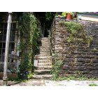 Eureka Springs: The nook & crannies of Eureka Springs