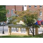 Addison (Webster Springs): mineral springs on main street in Webster Springs