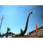 Cabazon: Dinosaur Park - Main Street