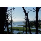 Coos Bay: Siltcoos recreation area