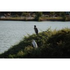 San Jose: Lake Cunningham Regional Park