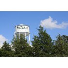 Natchez: Water Tower