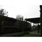 Waycross: CSX Train running behind Visitor's Center / old train depot