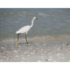 Naples: Just a walk on the beach.