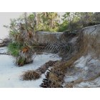 Naples: Okay, who's going to clean up the beach today?