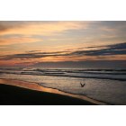 Isle of Palms: Morning Kiss of Sun