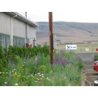 Dallesport: Columbia Gorge Airport, Summer 2009