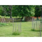 Seven Hills: the lovely view of the neighbors backyard(chickens are fenced in most of the time)