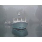 Cohasset: A foggy July morning at Cohasset Harbor veils these love birds
