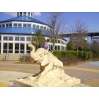 Chattanooga: : Outside the carousel