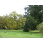 Colton: My backyard