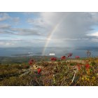 Bar Harbor: Pot O Gold