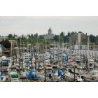Olympia: Port of Olympia, WA