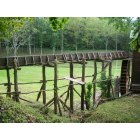 Saltville: Behind Palmer Mill