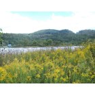 Saltville: View From The Helen Williams Barbrow Interpretive Trail