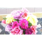 La Luz: Sunday Roses