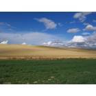 Moscow: Hills of the Palouse