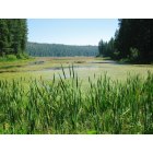 Meadow Valley: Meadow Valley CA: Snake Lake