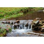 Lawrenceville: Stream by hunting cabin